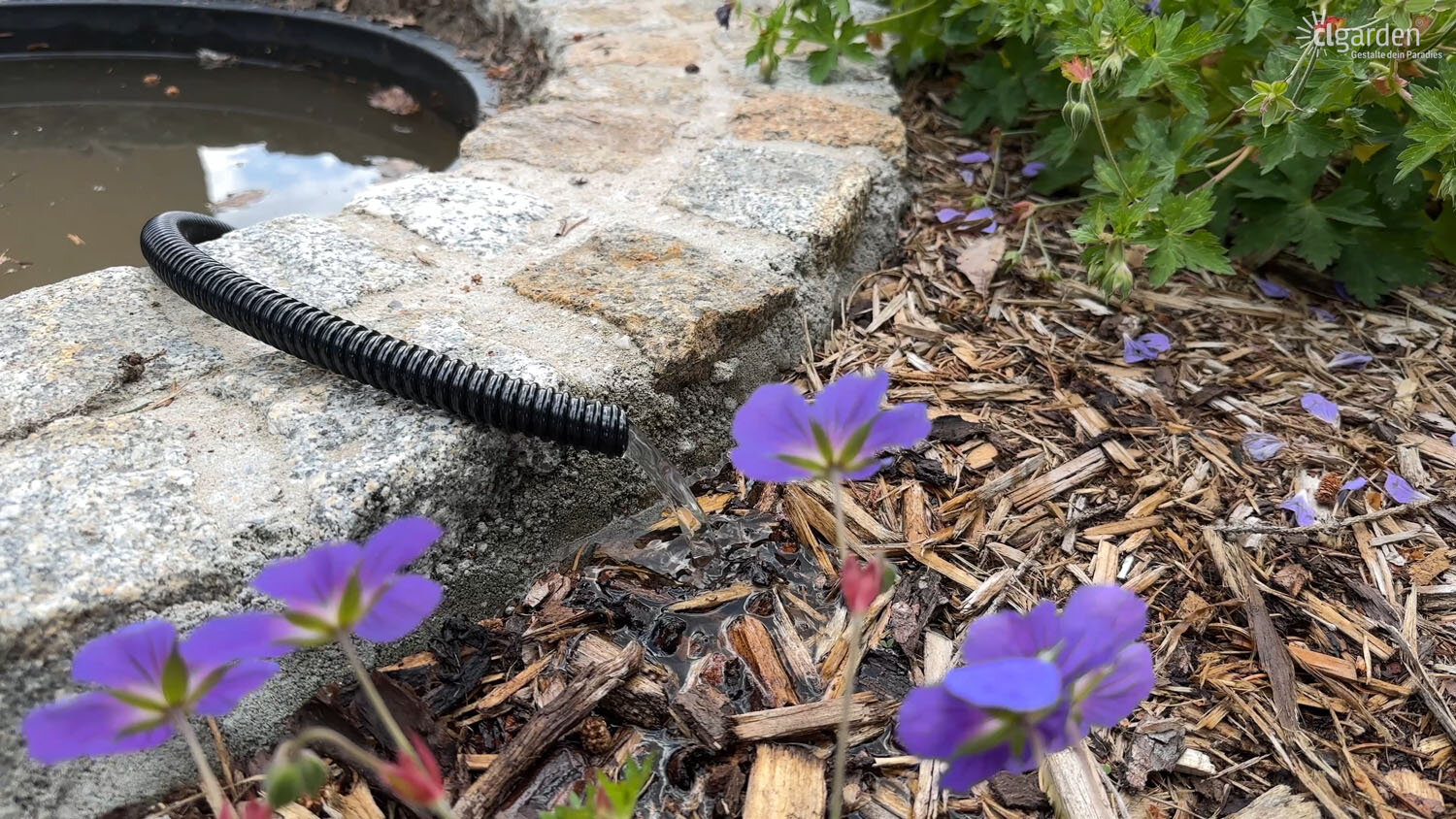 Springbrunnenpumpe mit Schlauch zum abpumpen nutzen